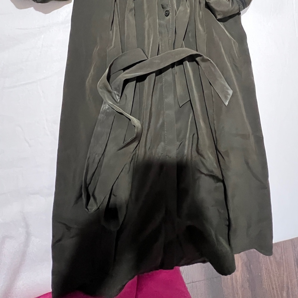 Express Dress - Picture 2 of 3